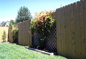 fenceing_pic1.jpg